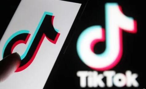 TikTok营销战略大全，，，，，，，小白一看即懂篇