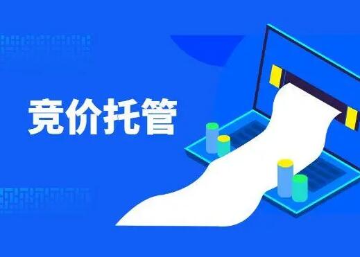 百度、360、抖音等竞价运营